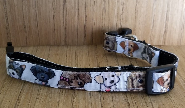 Collar/ Small/ White Dogs