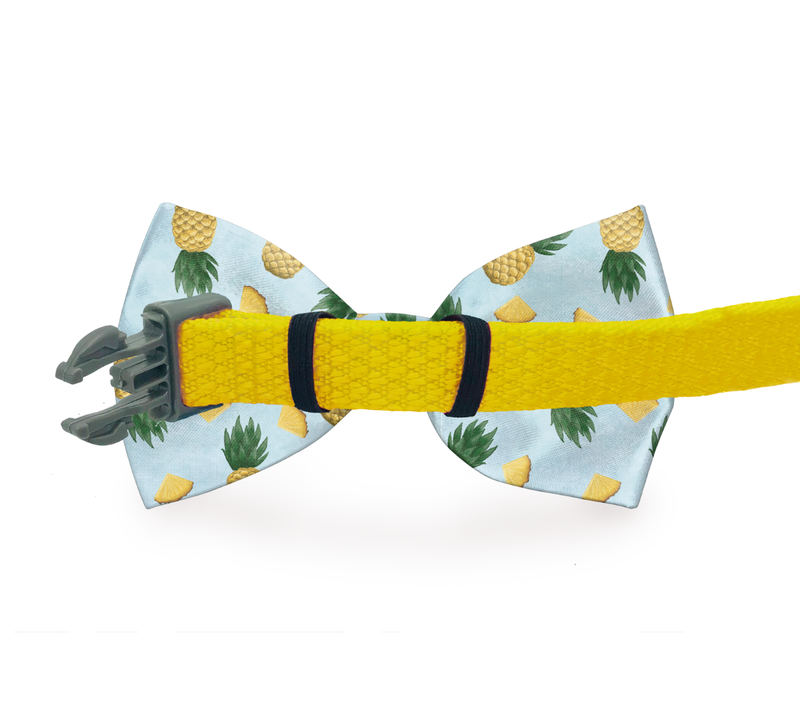 Jazzy Music Notes Dog Bow Tie